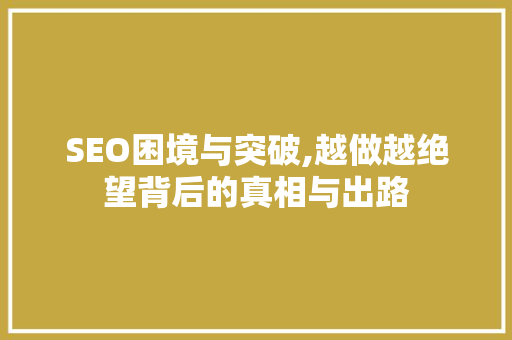 SEO困境与突破,越做越绝望背后的真相与出路
