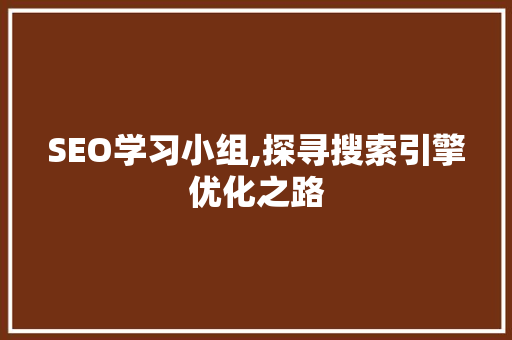 SEO学习小组,探寻搜索引擎优化之路