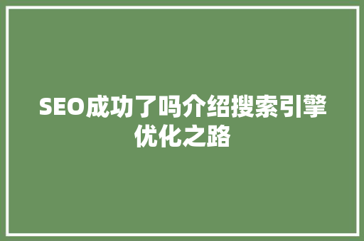 SEO成功了吗介绍搜索引擎优化之路