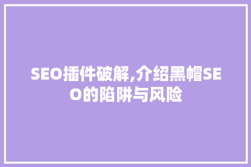 SEO插件破解,介绍黑帽SEO的陷阱与风险