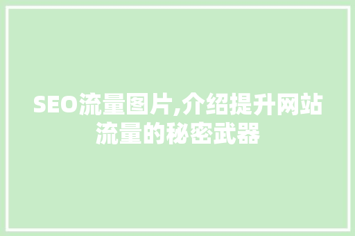 SEO流量图片,介绍提升网站流量的秘密武器