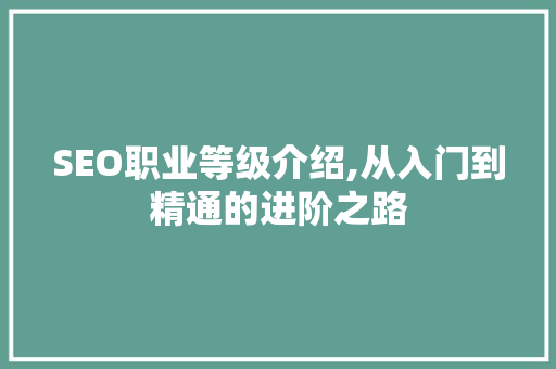 SEO职业等级介绍,从入门到精通的进阶之路