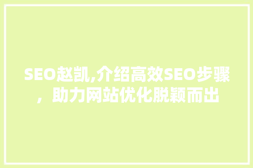 SEO赵凯,介绍高效SEO步骤，助力网站优化脱颖而出
