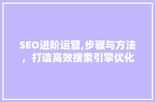 SEO进阶运营,步骤与方法，打造高效搜索引擎优化