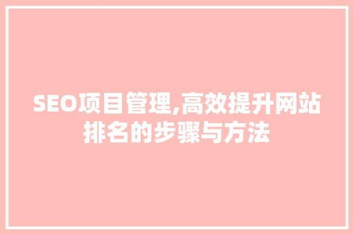 SEO项目管理,高效提升网站排名的步骤与方法