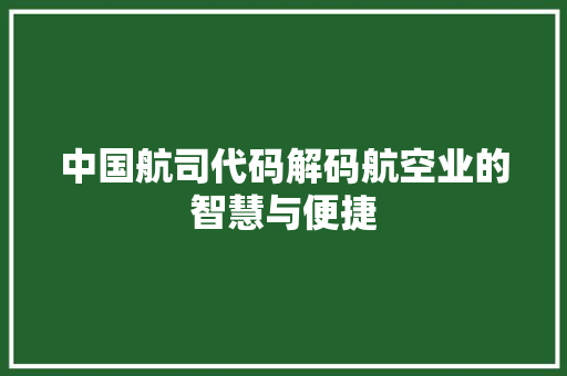 中国航司代码解码航空业的智慧与便捷
