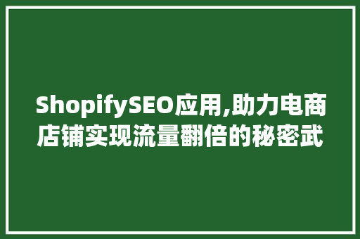 ShopifySEO应用,助力电商店铺实现流量翻倍的秘密武器
