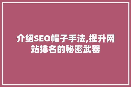 介绍SEO帽子手法,提升网站排名的秘密武器