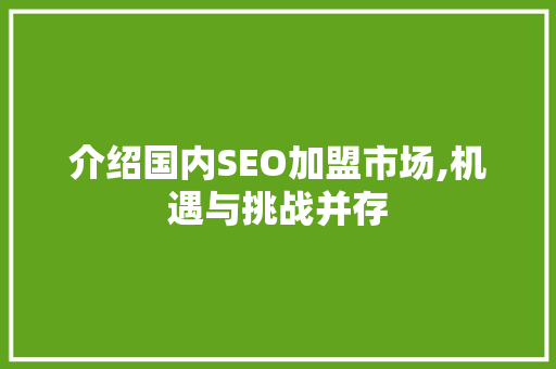 介绍国内SEO加盟市场,机遇与挑战并存
