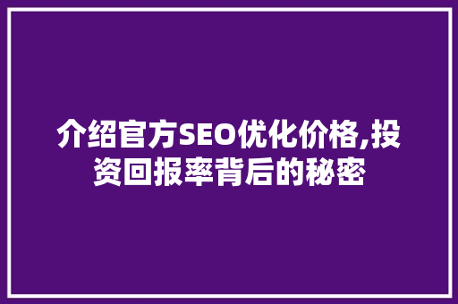 介绍官方SEO优化价格,投资回报率背后的秘密