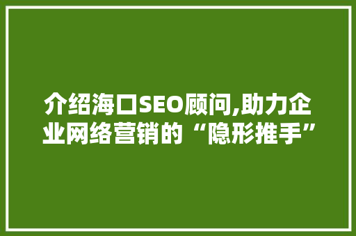 介绍海口SEO顾问,助力企业网络营销的“隐形推手”