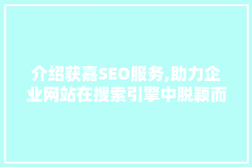 介绍获嘉SEO服务,助力企业网站在搜索引擎中脱颖而出