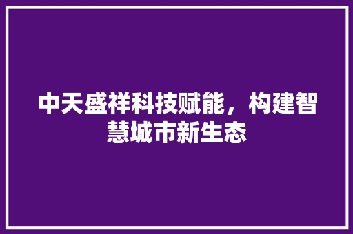 中天盛祥科技赋能，构建智慧城市新生态