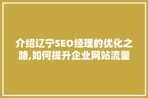 介绍辽宁SEO经理的优化之路,如何提升企业网站流量与转化率