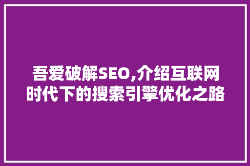吾爱破解SEO,介绍互联网时代下的搜索引擎优化之路