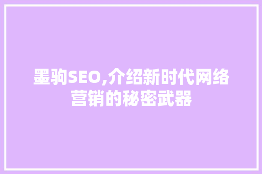 墨驹SEO,介绍新时代网络营销的秘密武器