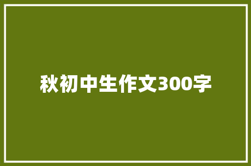 大兴SEO优化步骤,助力企业提升网站排名与流量