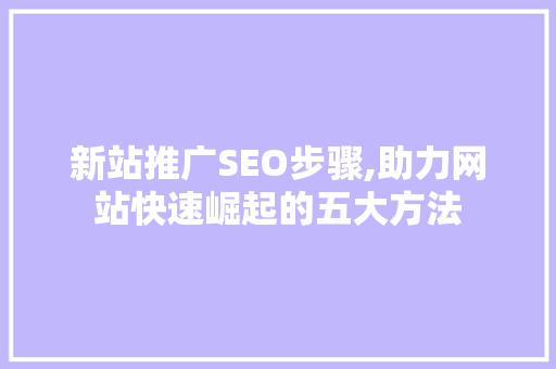 新站推广SEO步骤,助力网站快速崛起的五大方法