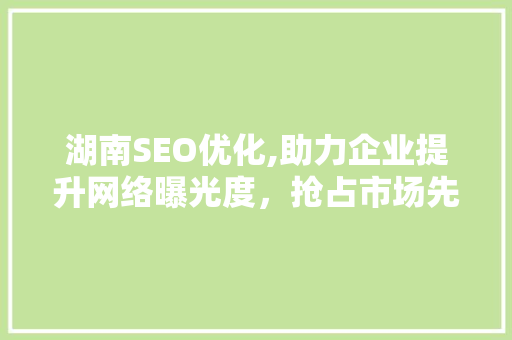 湖南SEO优化,助力企业提升网络曝光度，抢占市场先机