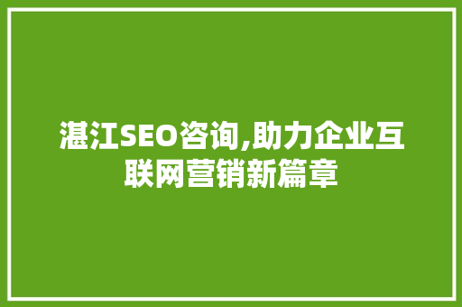 湛江SEO咨询,助力企业互联网营销新篇章