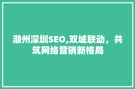 潮州深圳SEO,双城联动，共筑网络营销新格局