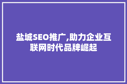 盐城SEO推广,助力企业互联网时代品牌崛起