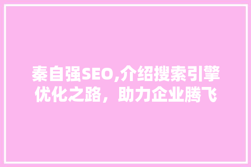 秦自强SEO,介绍搜索引擎优化之路，助力企业腾飞