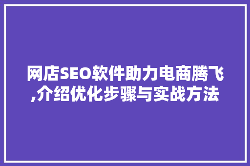 网店SEO软件助力电商腾飞,介绍优化步骤与实战方法