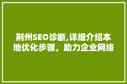 荆州SEO诊断,详细介绍本地优化步骤，助力企业网络营销腾飞