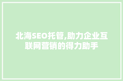 北海SEO托管,助力企业互联网营销的得力助手