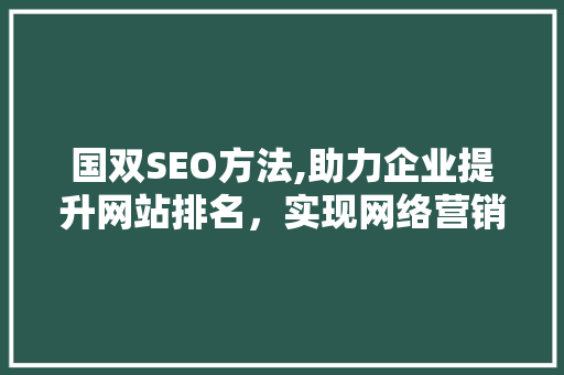 国双SEO方法,助力企业提升网站排名，实现网络营销新突破