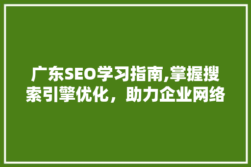 广东SEO学习指南,掌握搜索引擎优化，助力企业网络营销