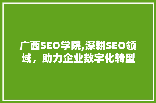广西SEO学院,深耕SEO领域，助力企业数字化转型