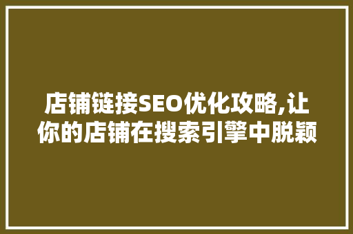 店铺链接SEO优化攻略,让你的店铺在搜索引擎中脱颖而出