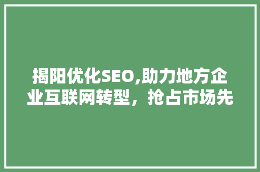 揭阳优化SEO,助力地方企业互联网转型，抢占市场先机