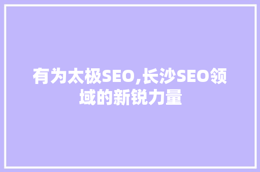 有为太极SEO,长沙SEO领域的新锐力量