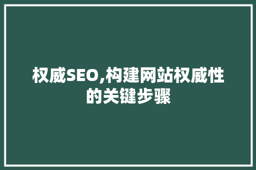 权威SEO,构建网站权威性的关键步骤