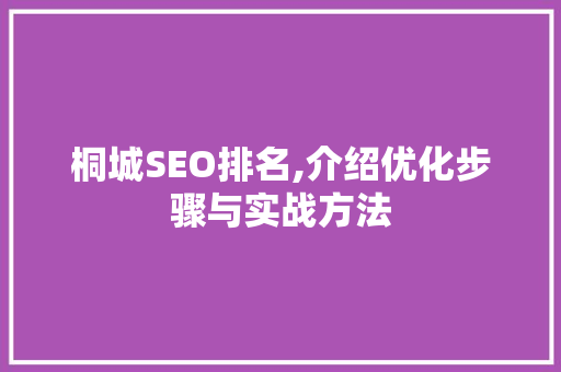 桐城SEO排名,介绍优化步骤与实战方法
