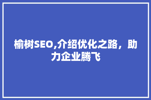 榆树SEO,介绍优化之路，助力企业腾飞