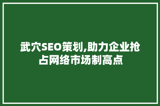 武穴SEO策划,助力企业抢占网络市场制高点