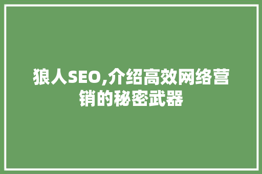 狼人SEO,介绍高效网络营销的秘密武器
