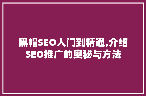 黑帽SEO入门到精通,介绍SEO推广的奥秘与方法