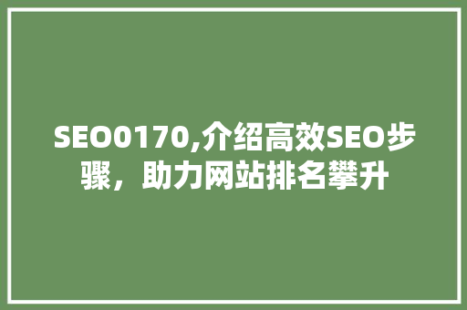 SEO0170,介绍高效SEO步骤，助力网站排名攀升
