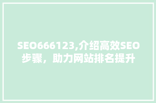 SEO666123,介绍高效SEO步骤，助力网站排名提升