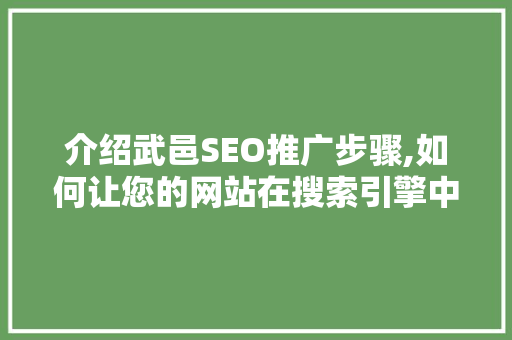介绍武邑SEO推广步骤,如何让您的网站在搜索引擎中脱颖而出