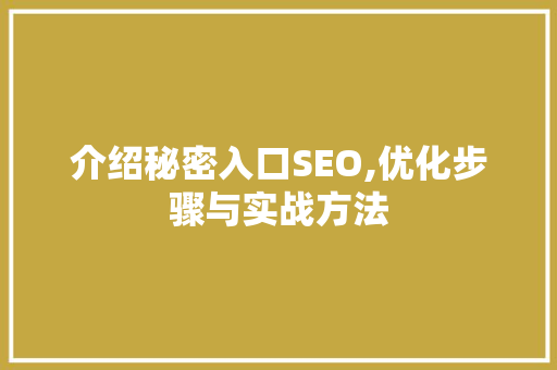 介绍秘密入口SEO,优化步骤与实战方法