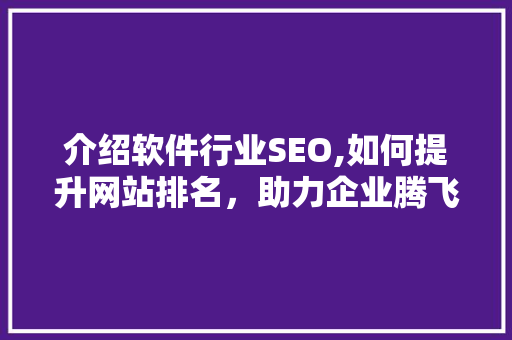 介绍软件行业SEO,如何提升网站排名，助力企业腾飞