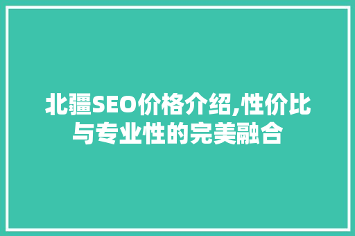 北疆SEO价格介绍,性价比与专业性的完美融合
