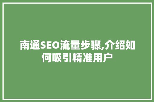 南通SEO流量步骤,介绍如何吸引精准用户