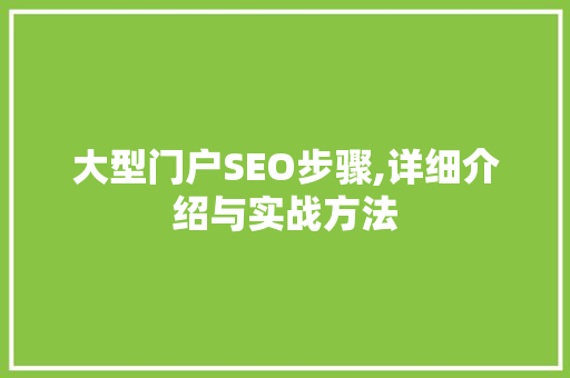大型门户SEO步骤,详细介绍与实战方法
